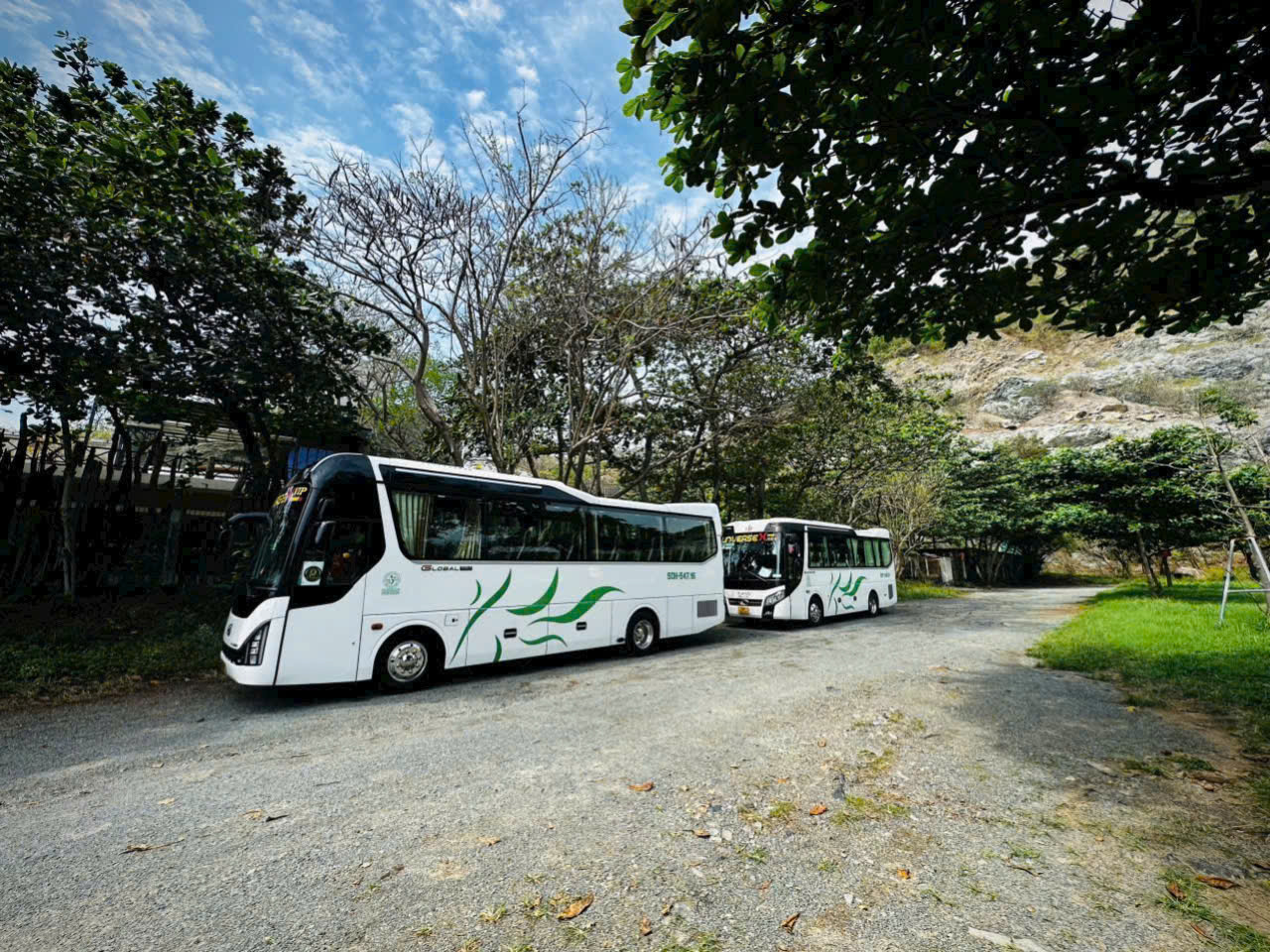Xe 29 chỗ